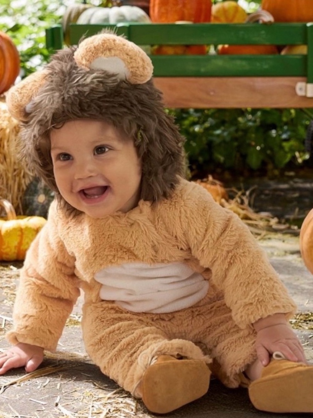 Pottery Barns Kids NWT Baby Lion Costume